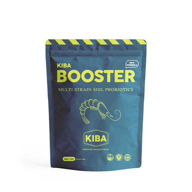 BOOSTER1