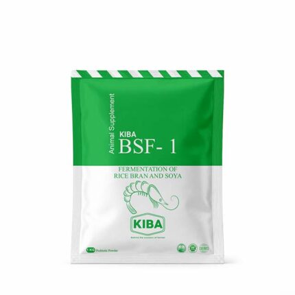 BSF-1