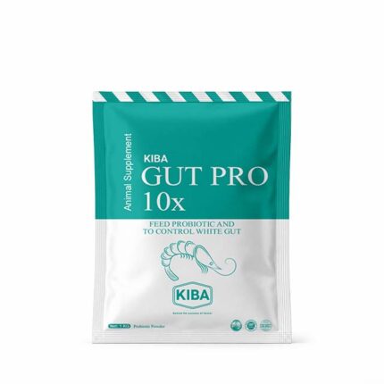 GUT PRO 10X