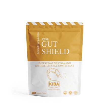 GUT SHIELD