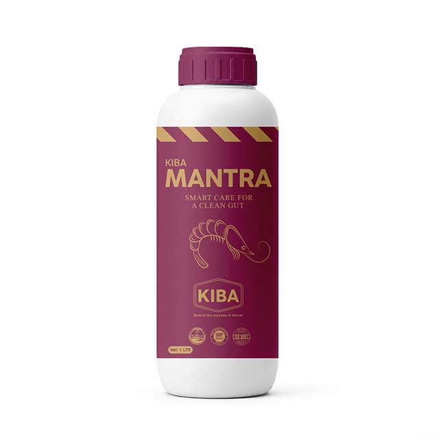 MANTRA